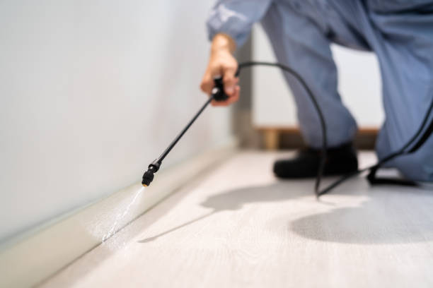 Best Pest Prevention Services  in Kensington, CA