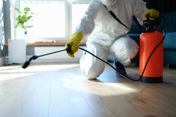 Best Termite Control Services  in Kensington, CA