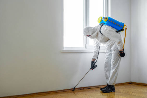 Best Exterminator Services  in Kensington, CA
