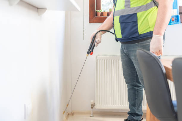 Best Exterminator Services  in Kensington, CA