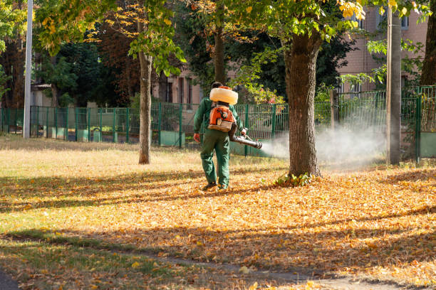 Best Pest Inspection Near Me  in Kensington, CA