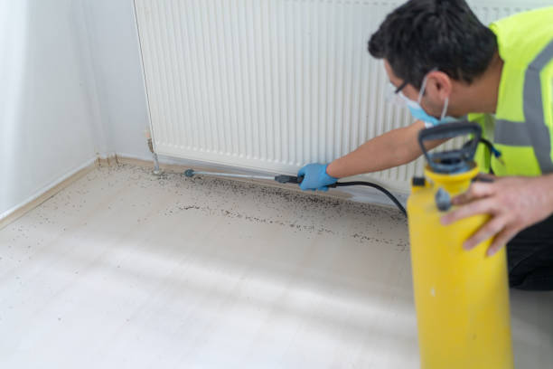 Best Pest Control Near Me  in Kensington, CA