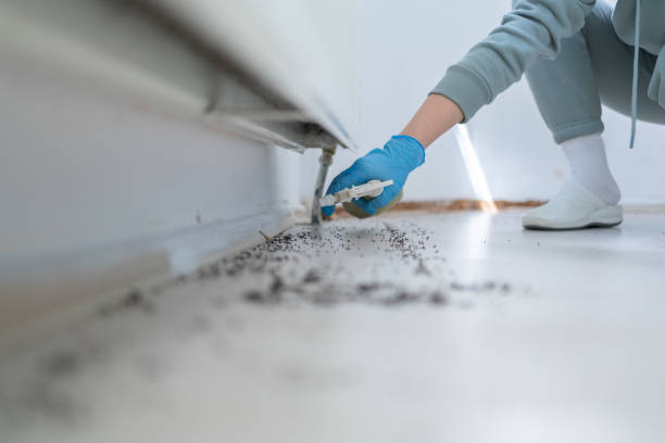 Best Best Pest Control Companies  in Kensington, CA